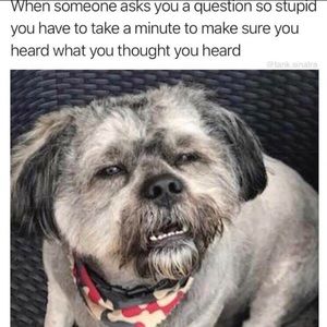 Meet your Posher, Robert